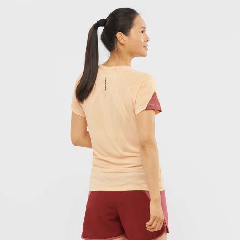 Apricot Salomon Cross Run Short Sleeve Women's T-Shirts | PH 26907K